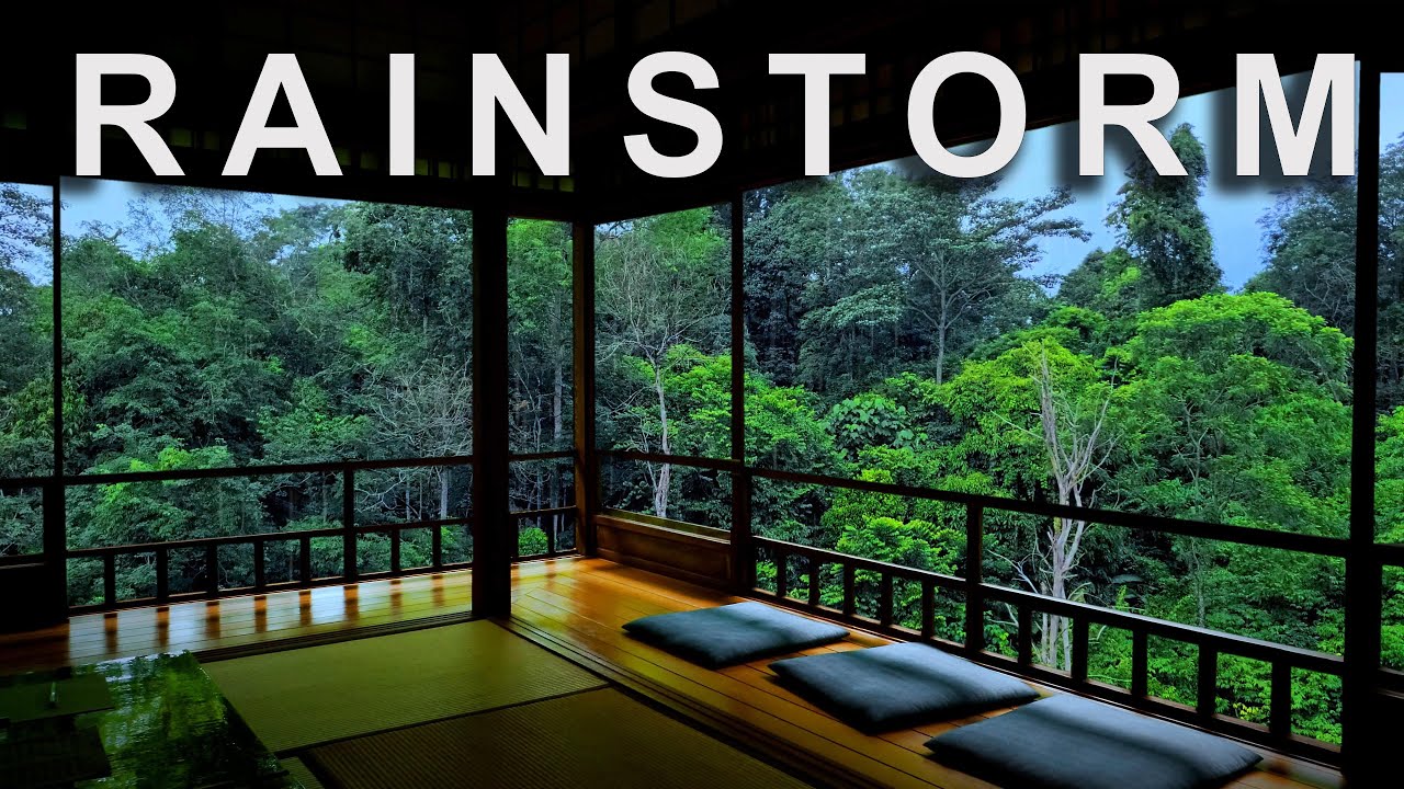 Rain with thunder for sleeping - Zen in the rain forest - pink noise 