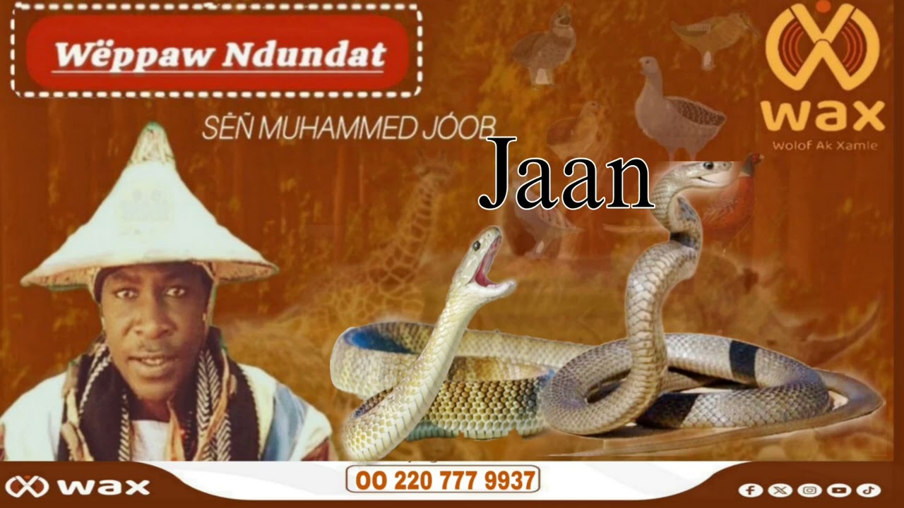 Jaan ak li ci aju