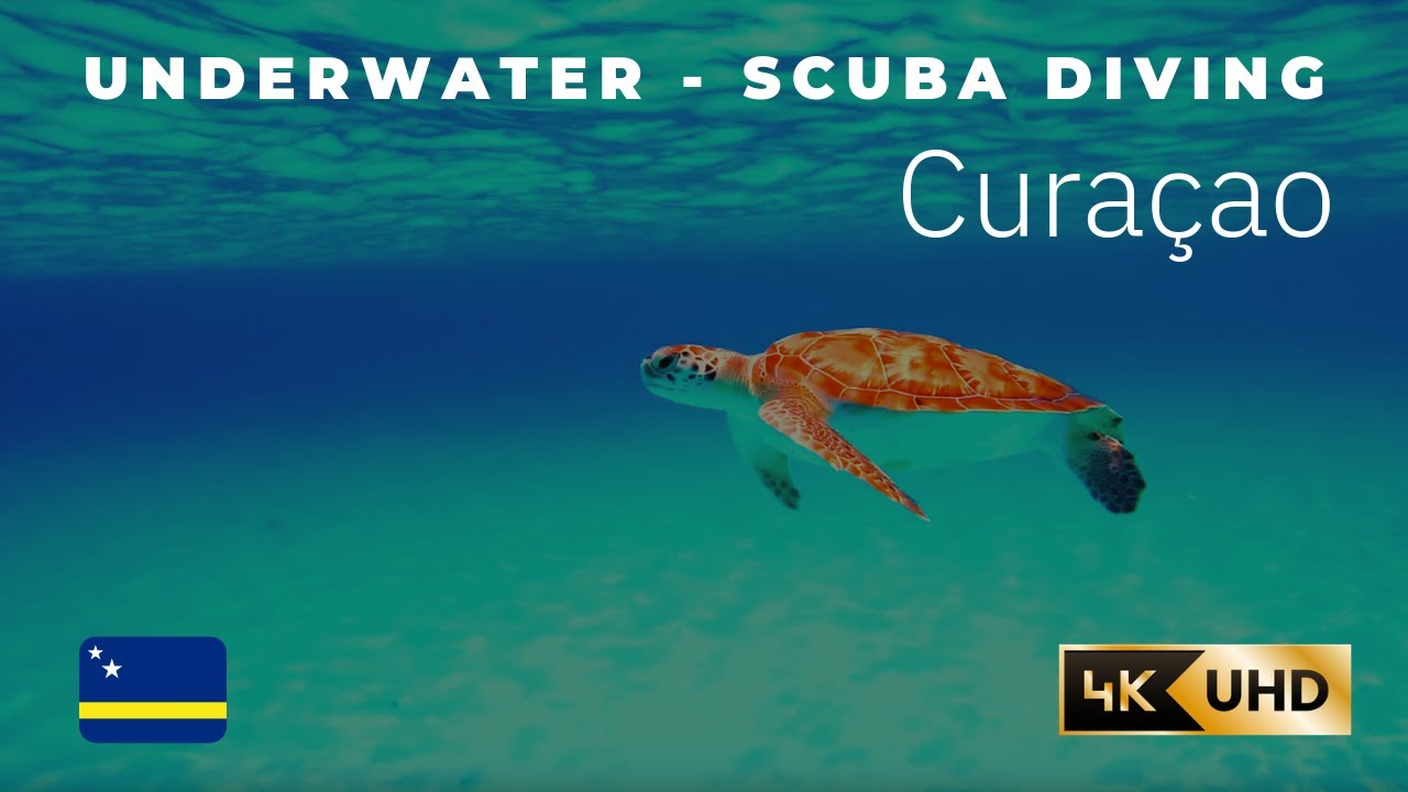 Curaçao & Klein Curaçao underwater - scuba diving (so amazing beautiful...) - 2019