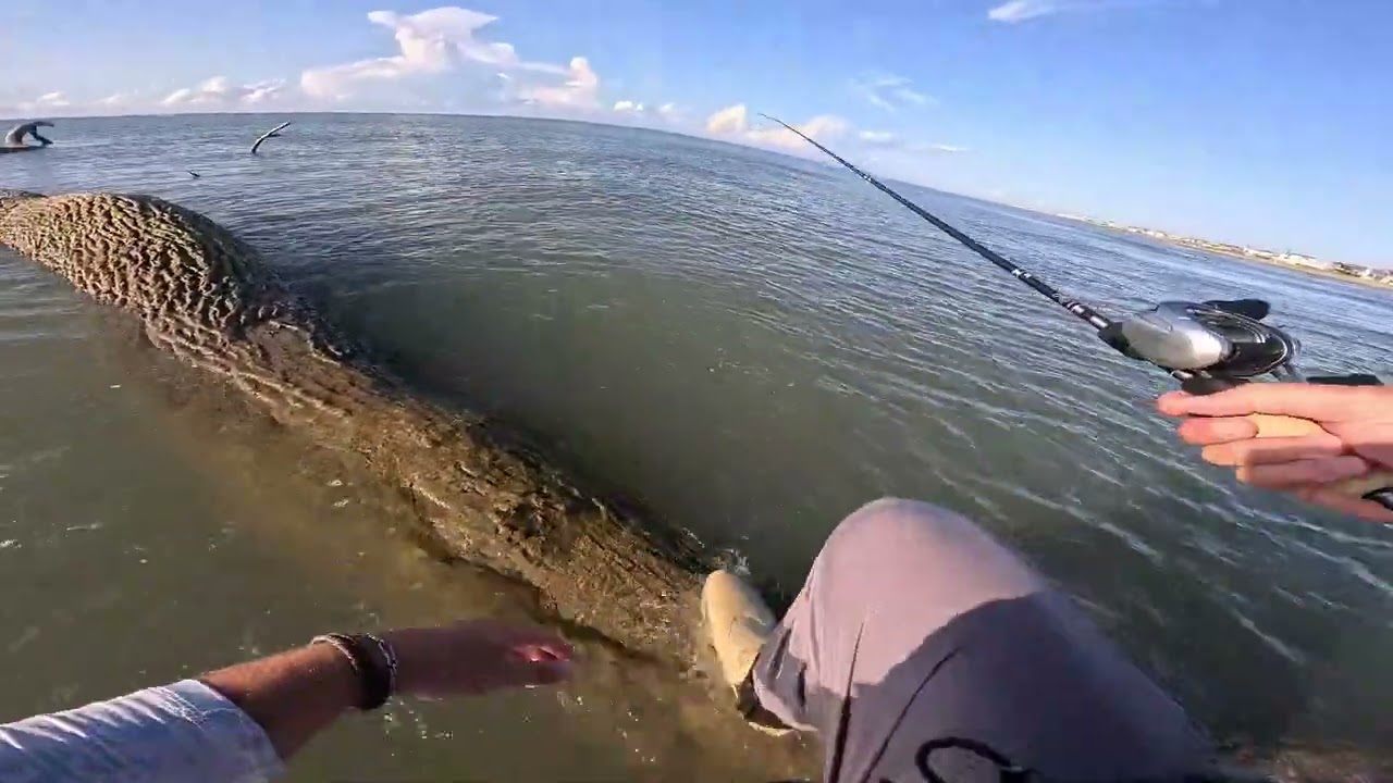 Walk in Wade fishing - Galveston Texas