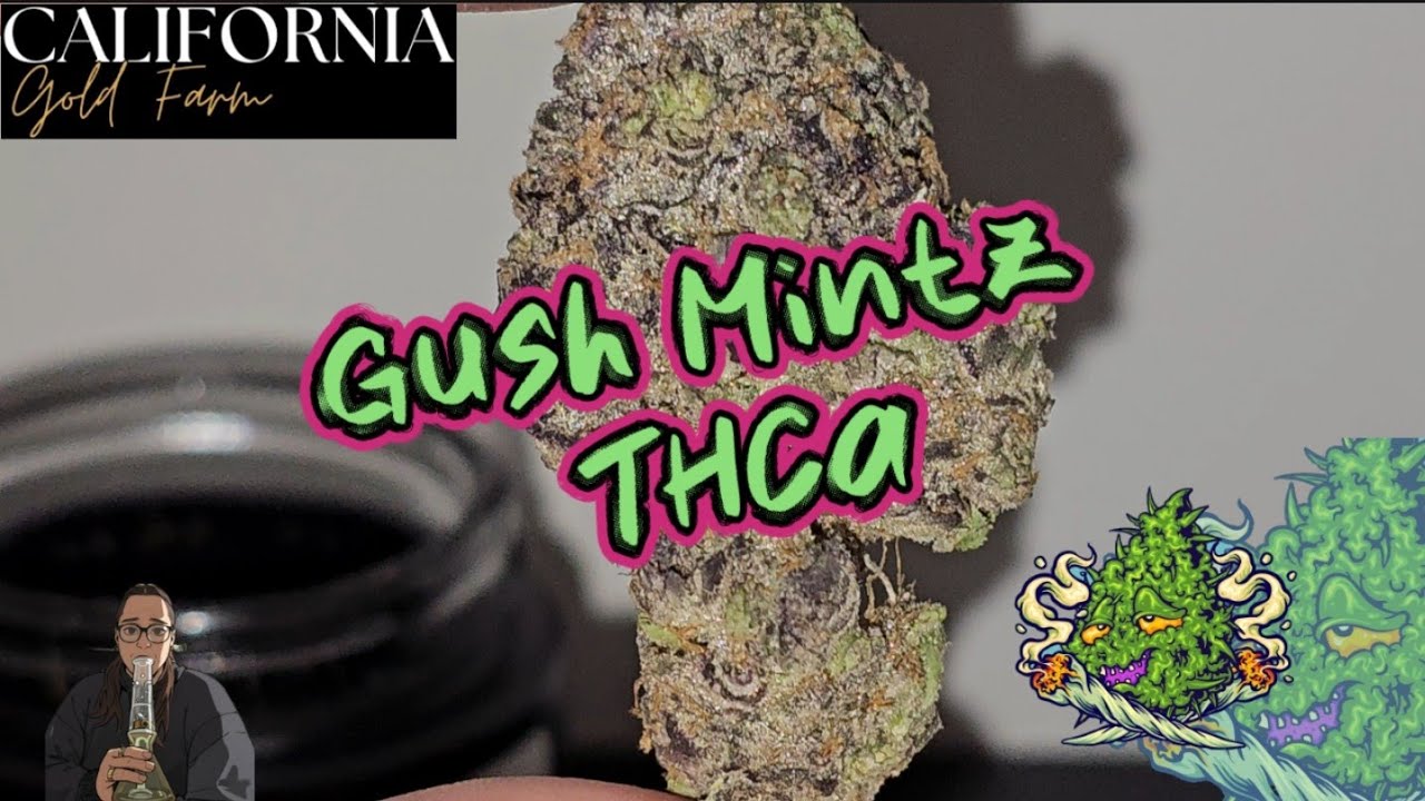 Gush Mintz | California Gold Farm