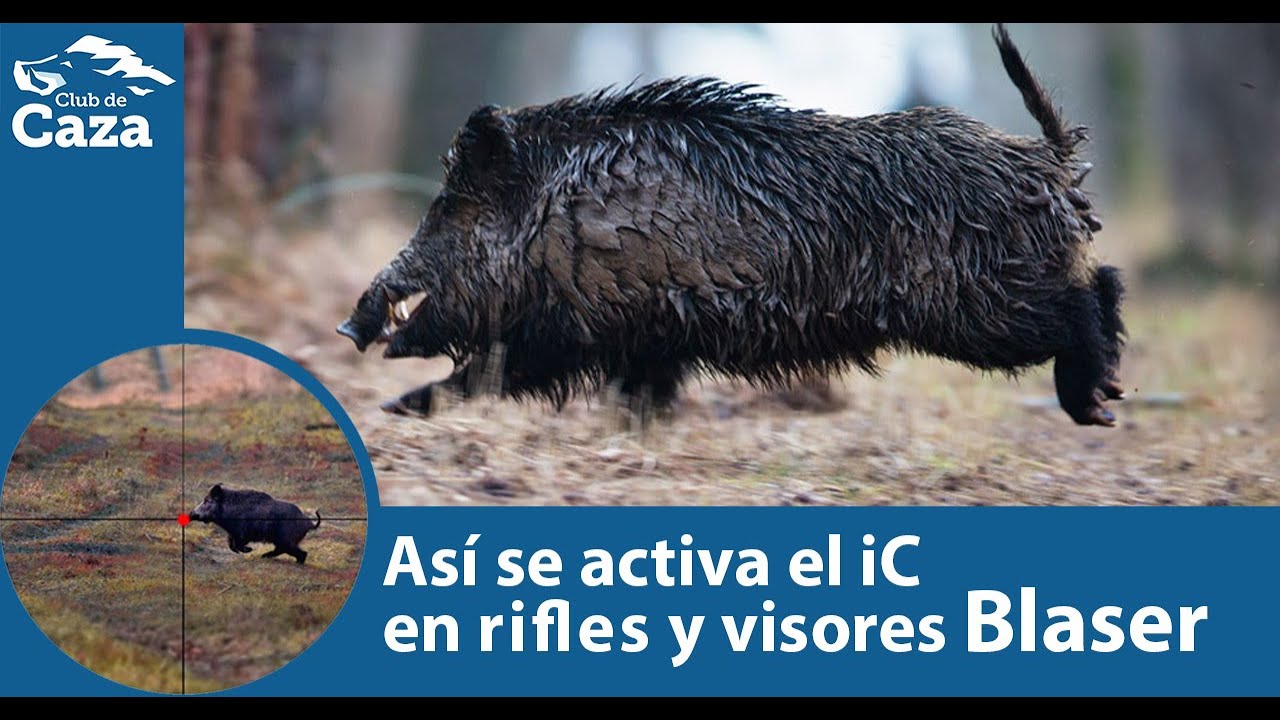 As&iacute; se activa la ret&iacute;cula iluminada en los visores y rifles Blaser