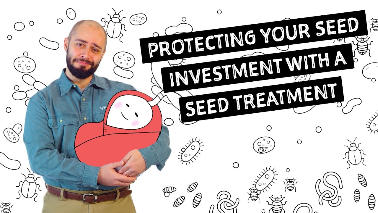 AG in :60 – Protecting Your Seed Investment With a Seed Treatment