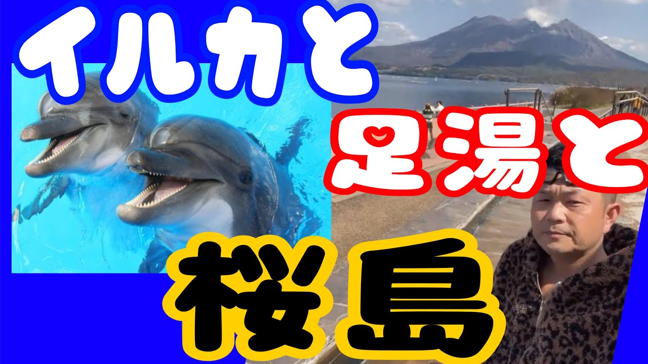 【桜島】道の駅たるみず足湯中にイルカ現る！