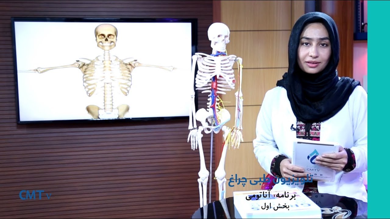 آناتومی | قسمت اول، معلومات در مورد آناتومی - بخش اول
