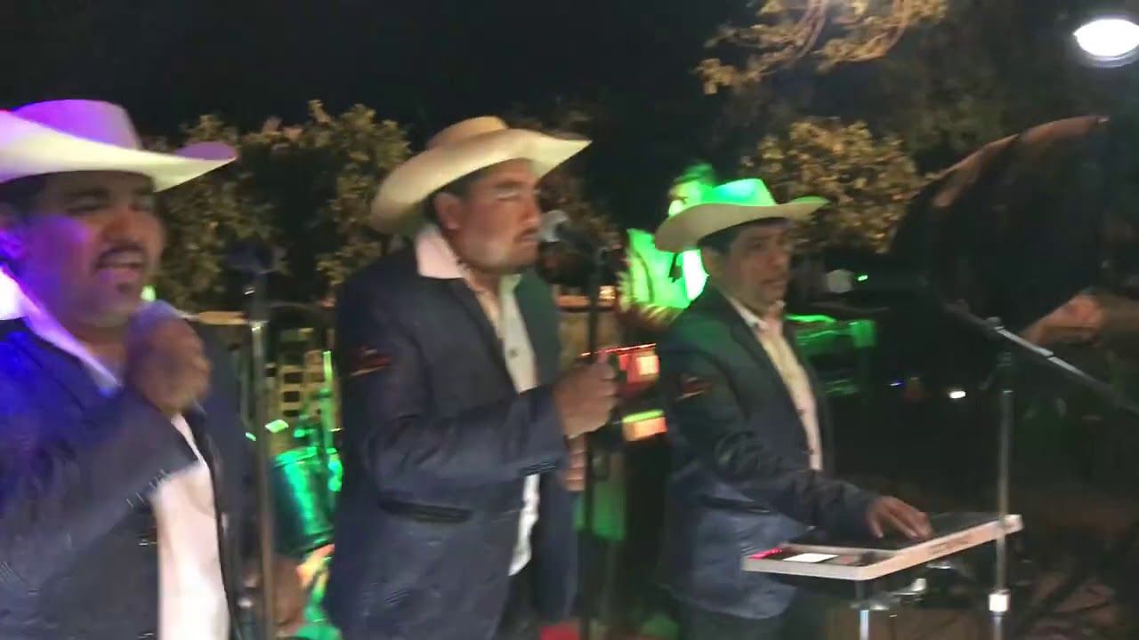 SON CALENTANO!  2018