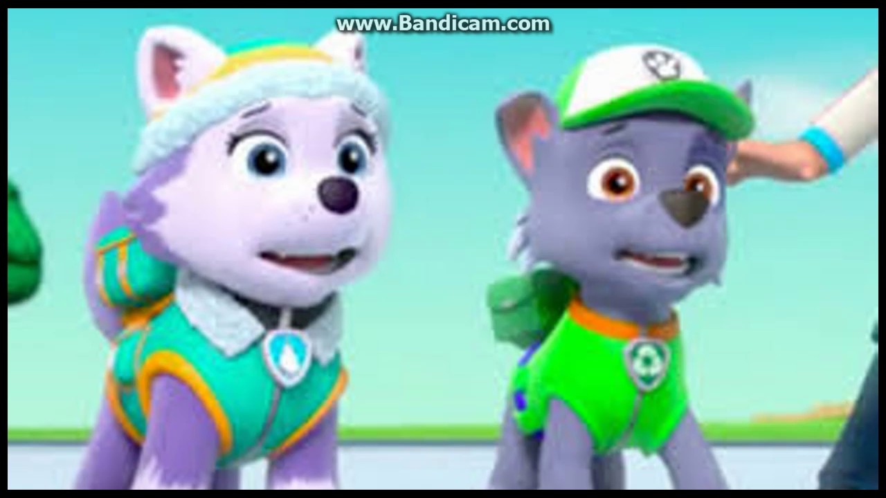 Paw Patrol l Rocky X Everest(Tundra) {Safe And Sound}