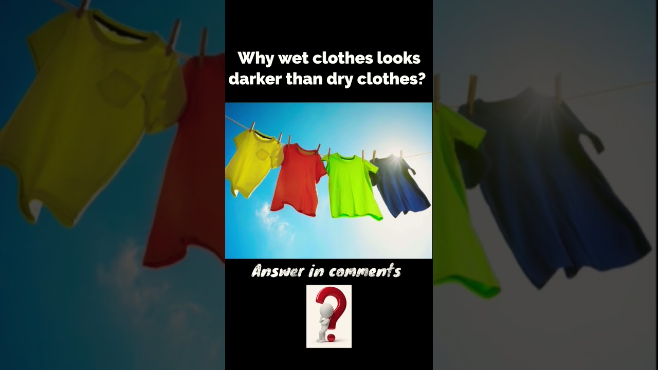 Why wet clothes looks darker than dry clothes?  