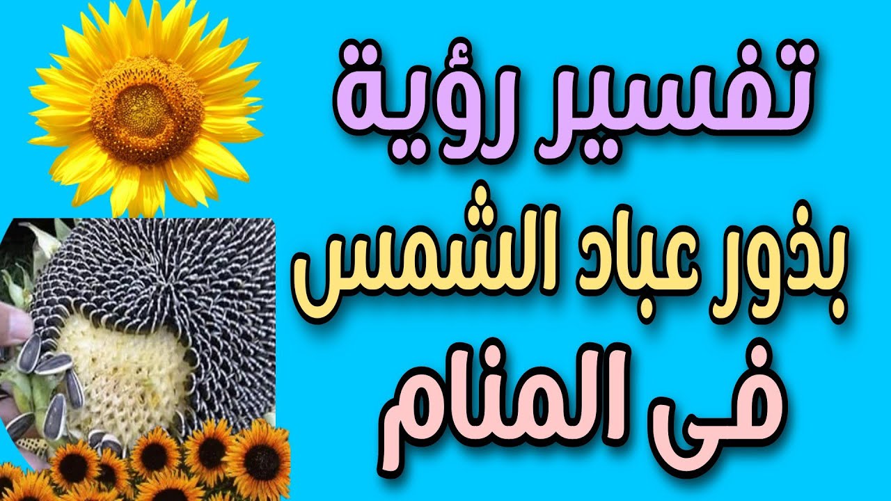تفسير رؤية بذور عباد الشمس فى المنام