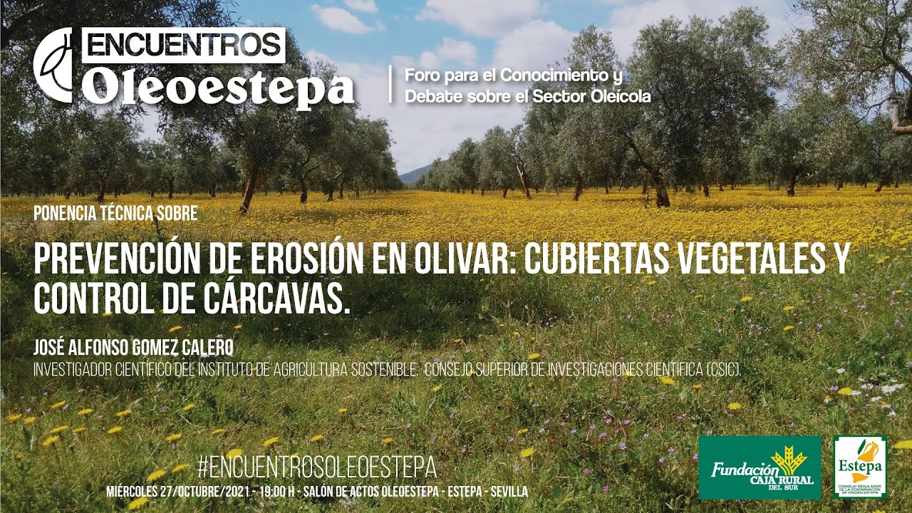 Ponencia PREVENCIÓN DE EROSIÓN EN OLIVAR: CUBIERTAS VEGETALES Y CÁRCAVAS - ENCUENTROS OLEOESTEPA