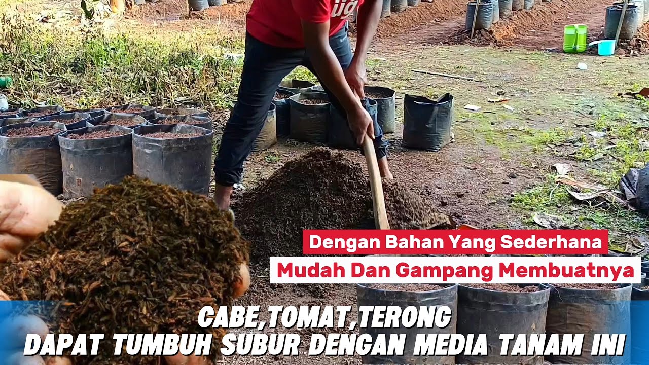 Best Growing Mix || Easy Polybag Planting Media for Any Plant