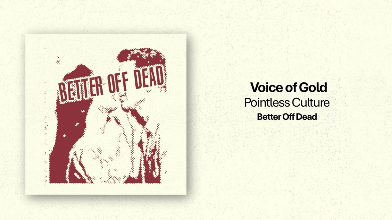 Voice of Gold - Pointless Culture