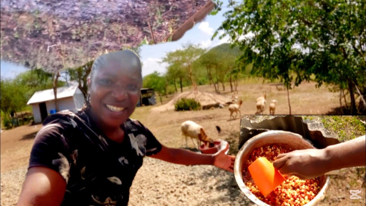 Simple and Peaceful life in the village 🇰🇪