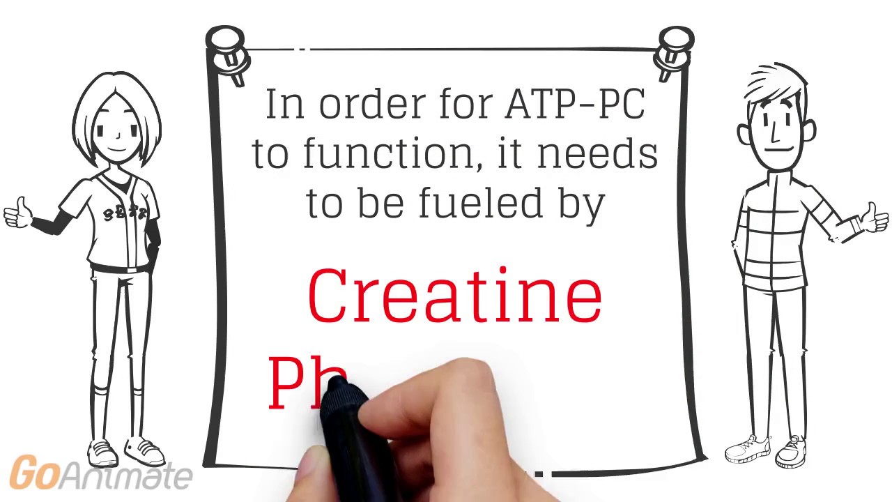 ATP-PC system