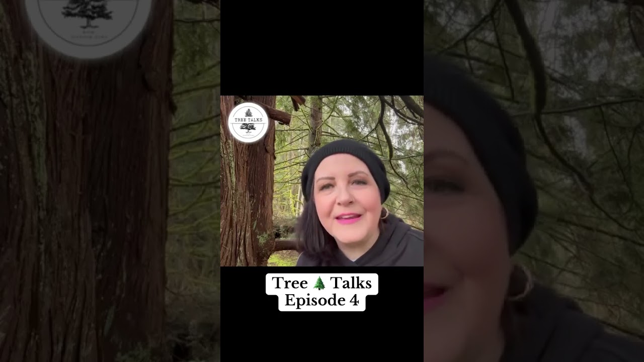 Tree Talks with Jennifer Dawn Episode 4  #spiritualgrowth #spiritualawakening #spirituality