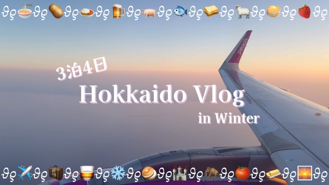 【北海道Vlog💖】冬の北海道3泊4日❄️雪の札幌！グルメ！！観光！！！