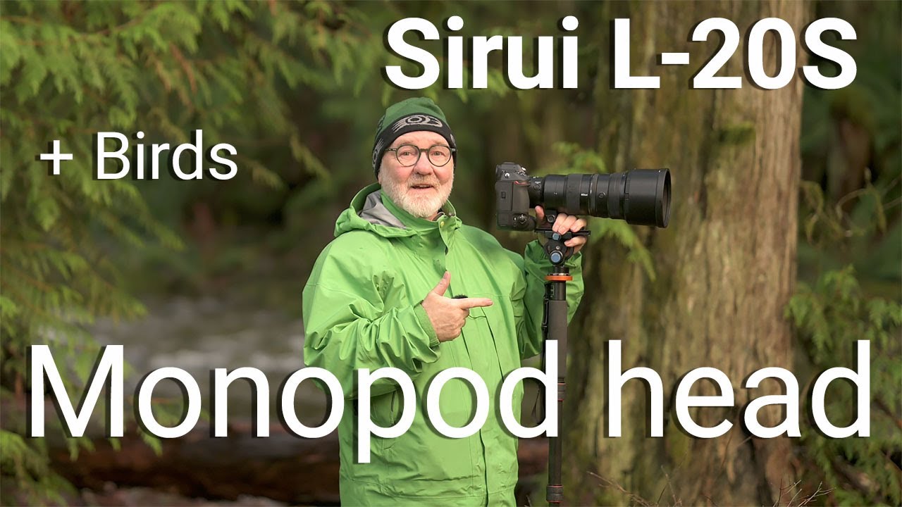Sirui L-20S Monopod Head | Photographing the American Dipper