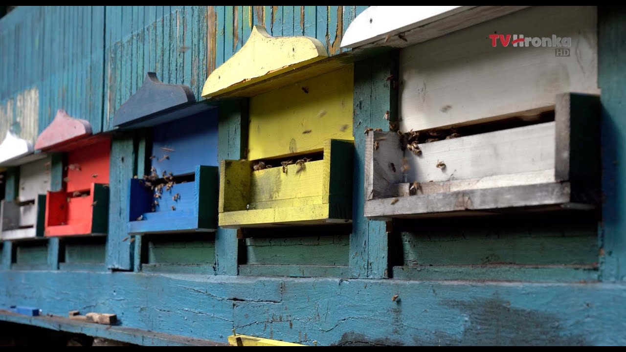 Včelárska sezóna 2024