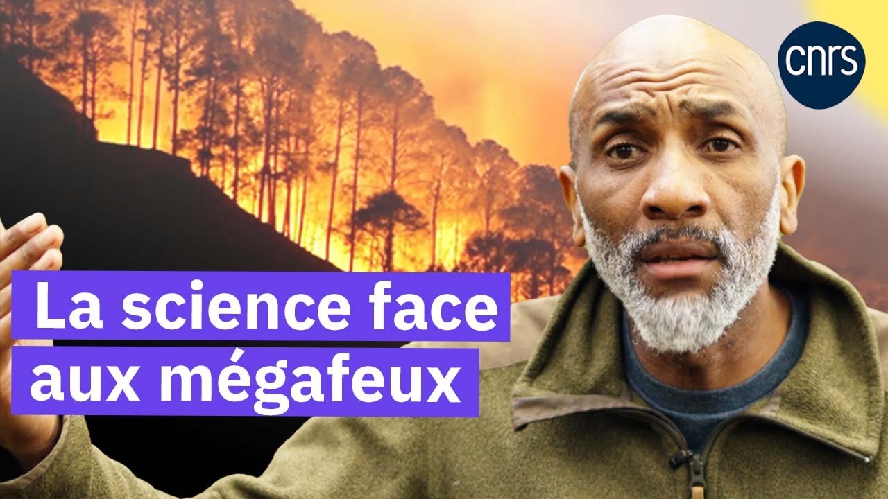 Mégafeux, la forêt des Landes pour comprendre | Reportage CNRS