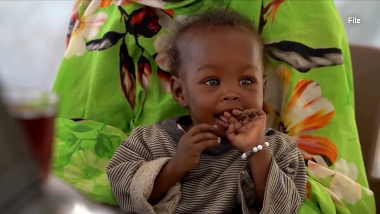 Sudan's govt denies famine exists in Darfur camp | REUTERS