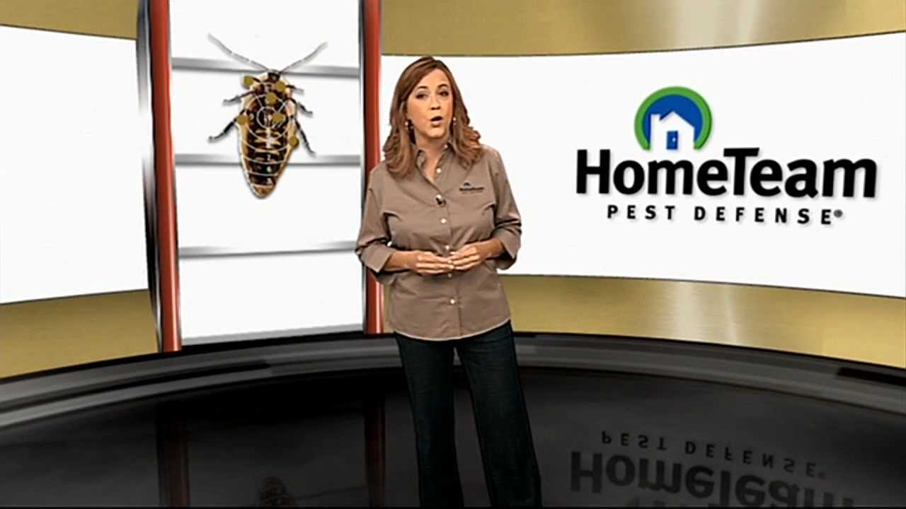 Quality Pest Control with The HomeTeam 6-Point Advantage Service