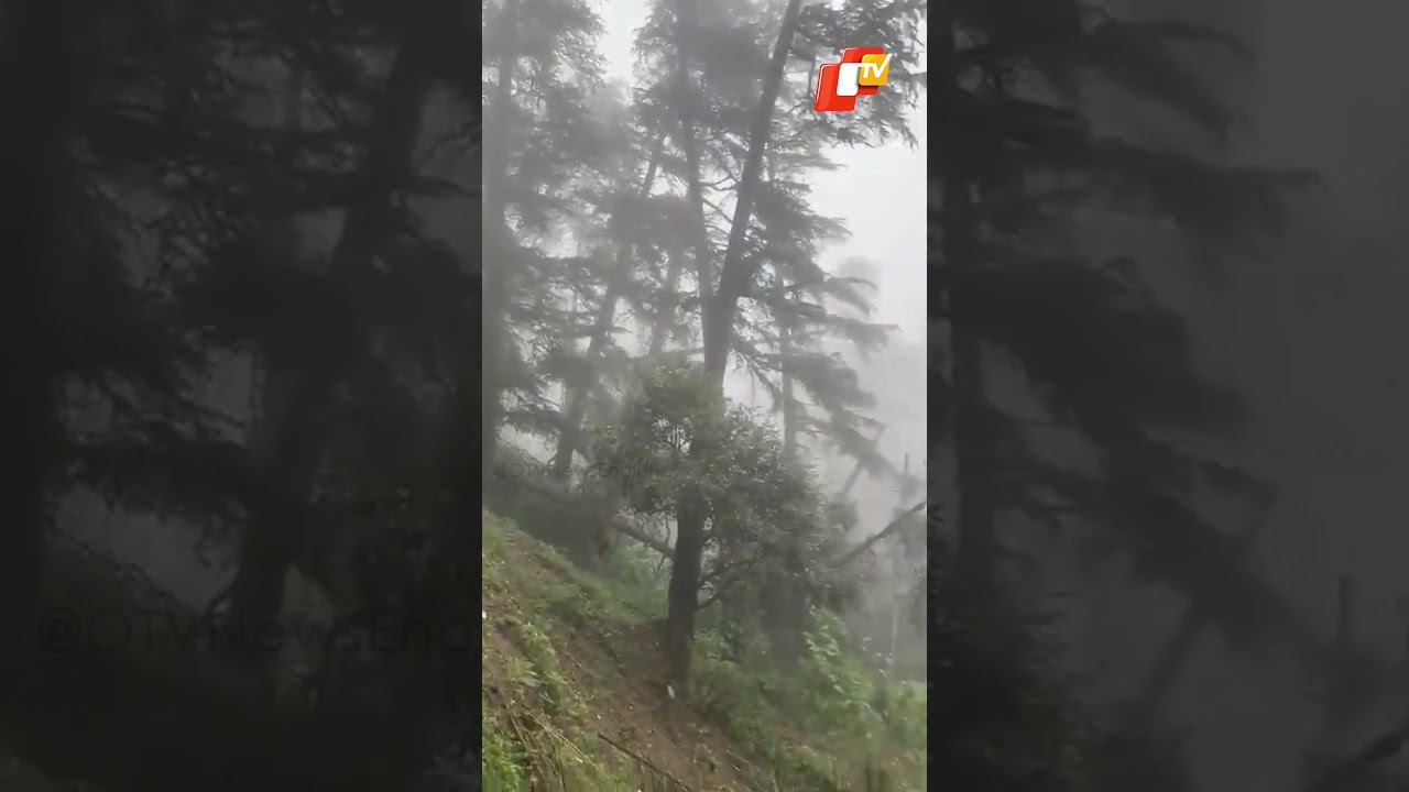 Landslide Blocks Road In Himachal's Shimla