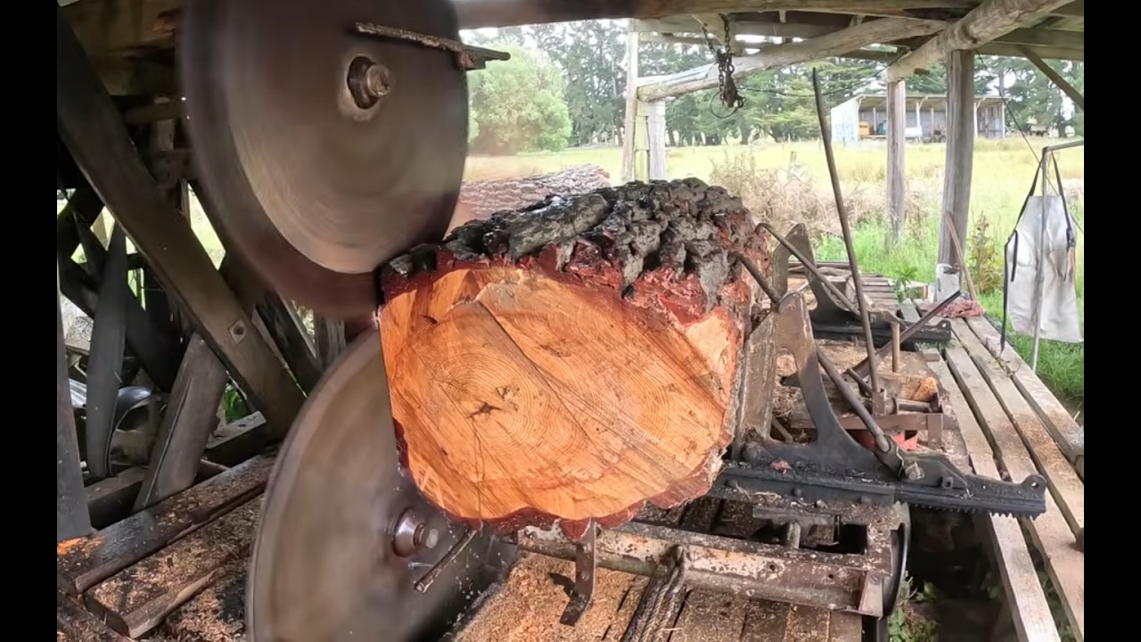 Sawmilling large trees and pressure treating timber.