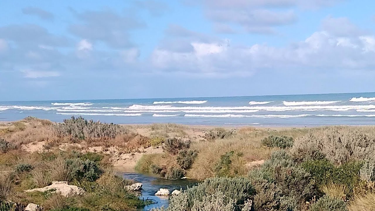 Hike Piccaninnie Ponds (Australien), Tour1, Trailer, 8k, 360°