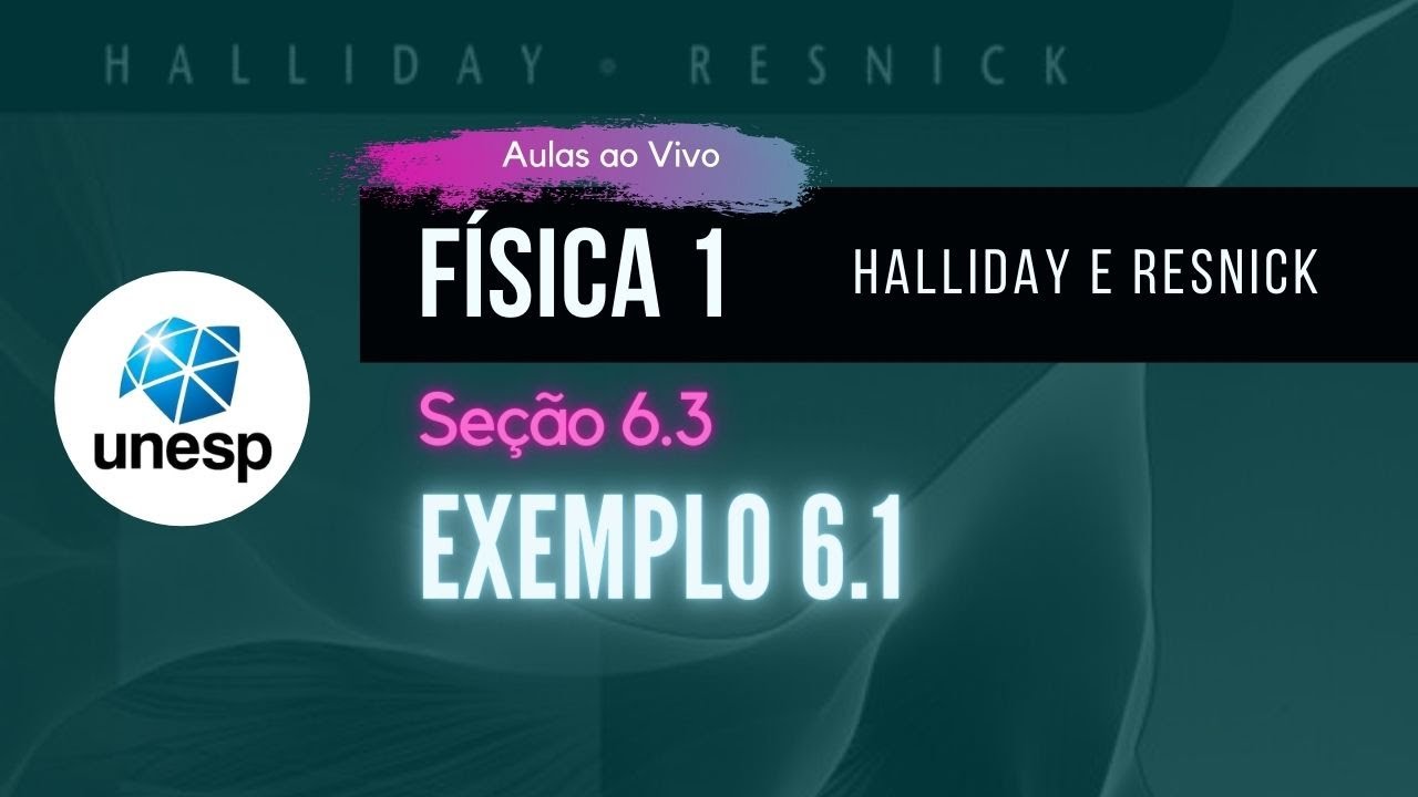 Exemplo 6.1 - Halliday vol. 1 - 8a Edição
