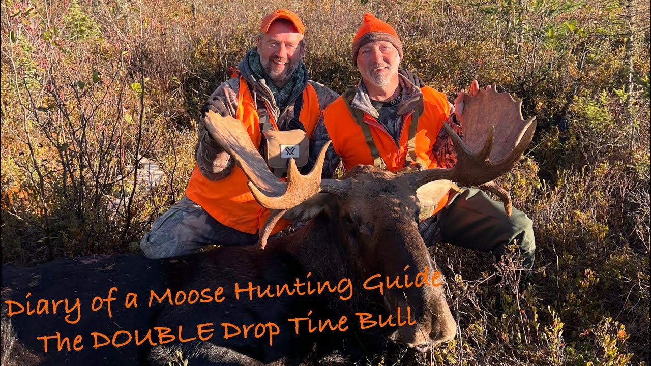 Diary of a Moose Hunting Guide - The DOUBLE Drop Tine Bull