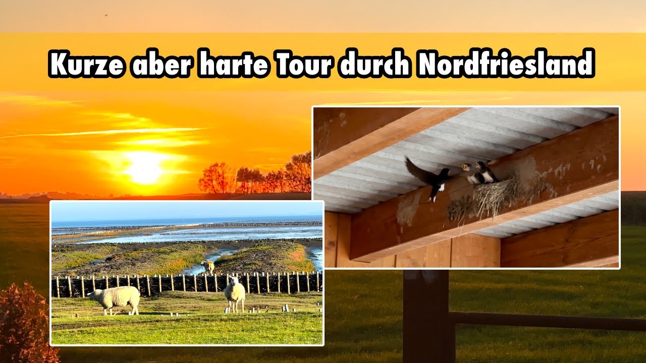 Kurze aber harte Nordfriesland - Tour