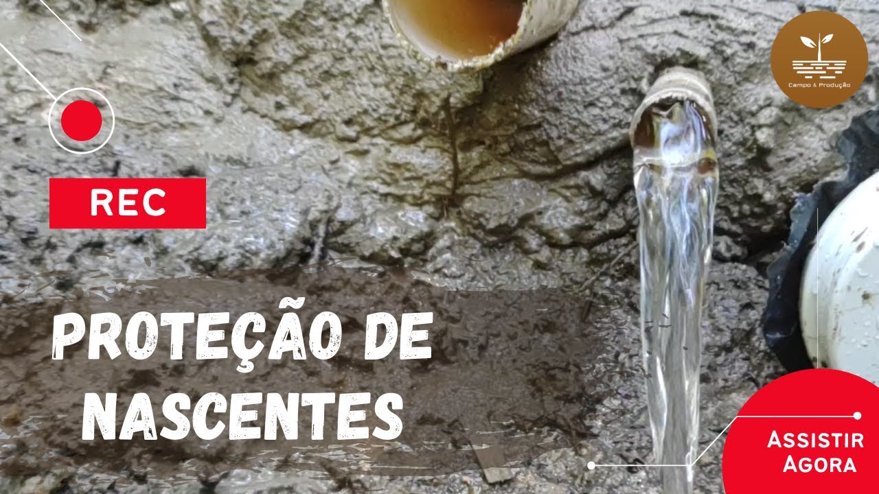 PROTEÇÃO DE NASCENTE | Passo a passo do método Caxambu!