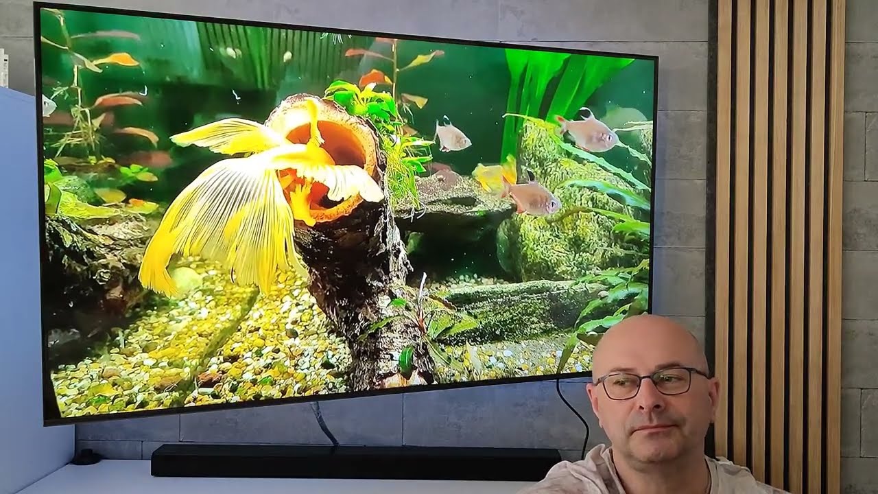 Rośliny mówią. Pylenie szyb. Krótko i prosto.