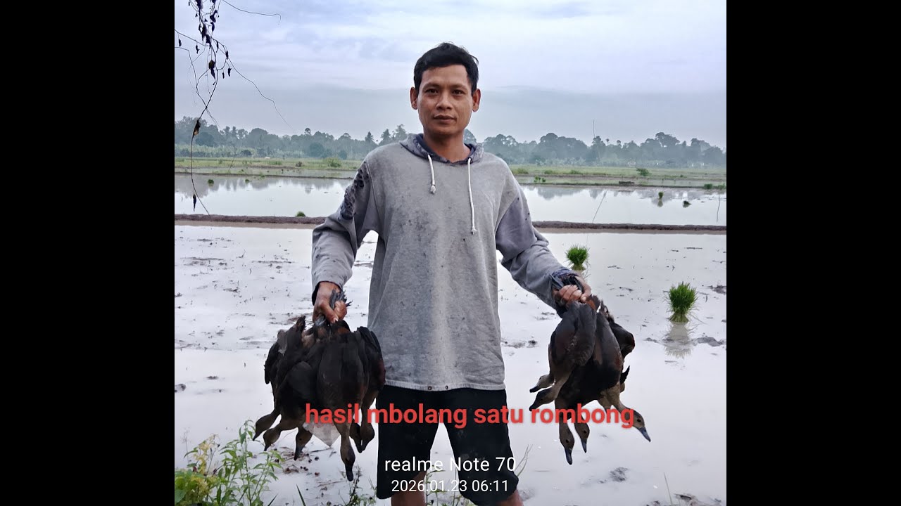 Menjaring burung belibis #fishing #burungbelibis