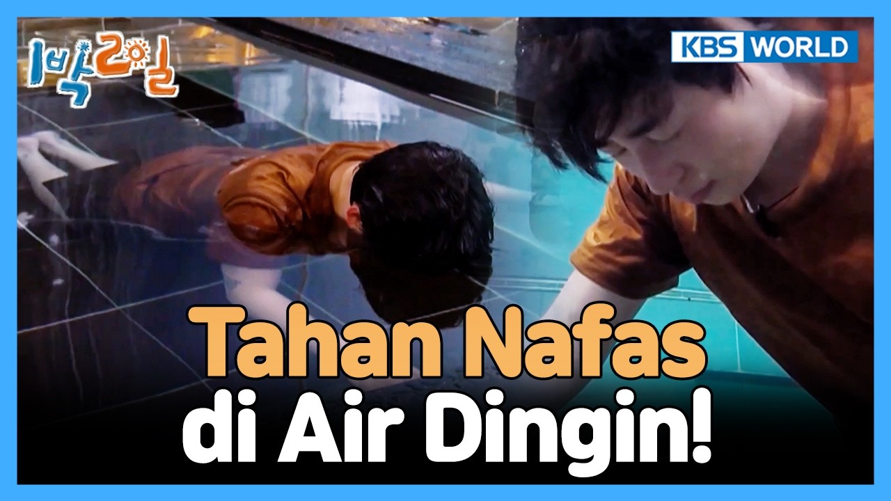 Berkat DinDin, Lirik Mustahil Mulai Terdengar 😵‍💫 | 2 Days & 1 Night [IND/ENG] | KBS WORLD TV 260308