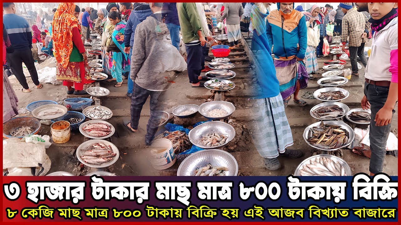 ৩০০০ টাকার মাছ পাওয়া যায় মাত্র ৮০০ টাকায় আজব এই রেললাইন বাজারে। ||Fish Market vlog||