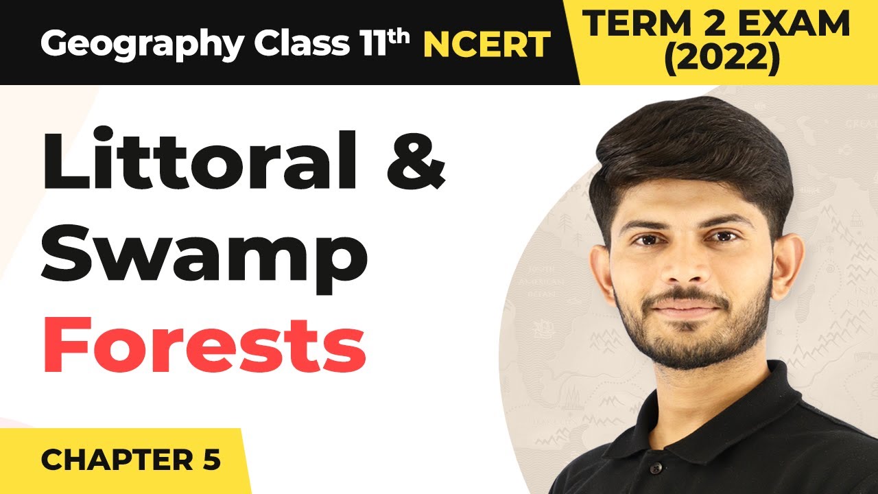 Class 11 Geography Chapter 5 | Littoral and Swamp Forests - Natural Vegetation