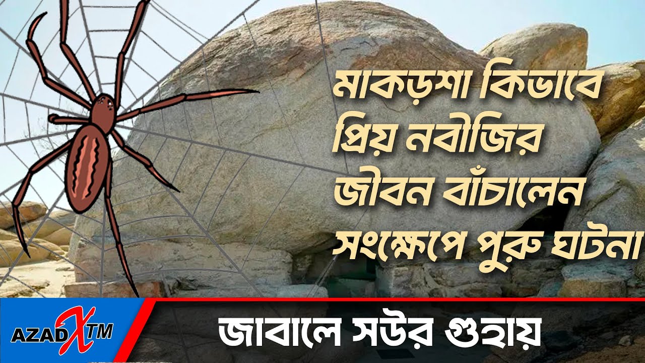 সেই গুহা : মহানবী (সাঃ) যে গুহায় আশ্রয় নেন : জাবালে সুর | জাবালে সাওর |