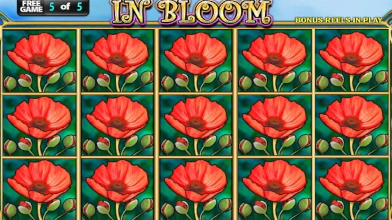 ★★JACKPOT HANDPAY★★$250 BETS★★IN BLOOM HIGH LIMIT SLOT MACHINE BUENO DINERO MUSEUM SLOTS IGT