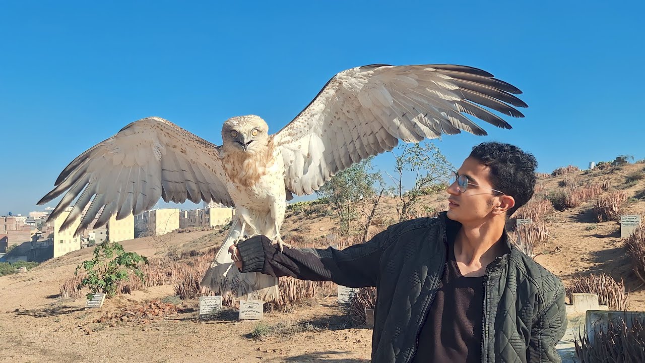 مغامرة صيد الصقور و الطيور الجارحة 🦅