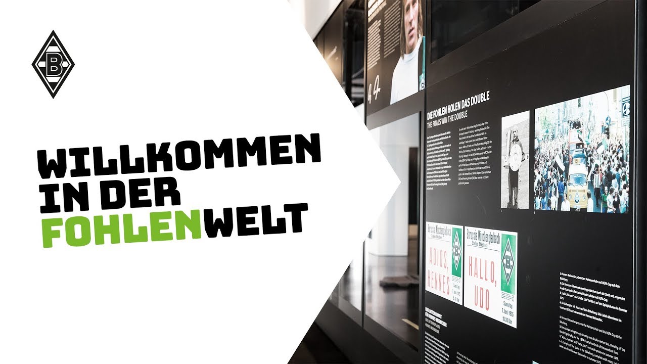 Willkommen in der FohlenWelt
