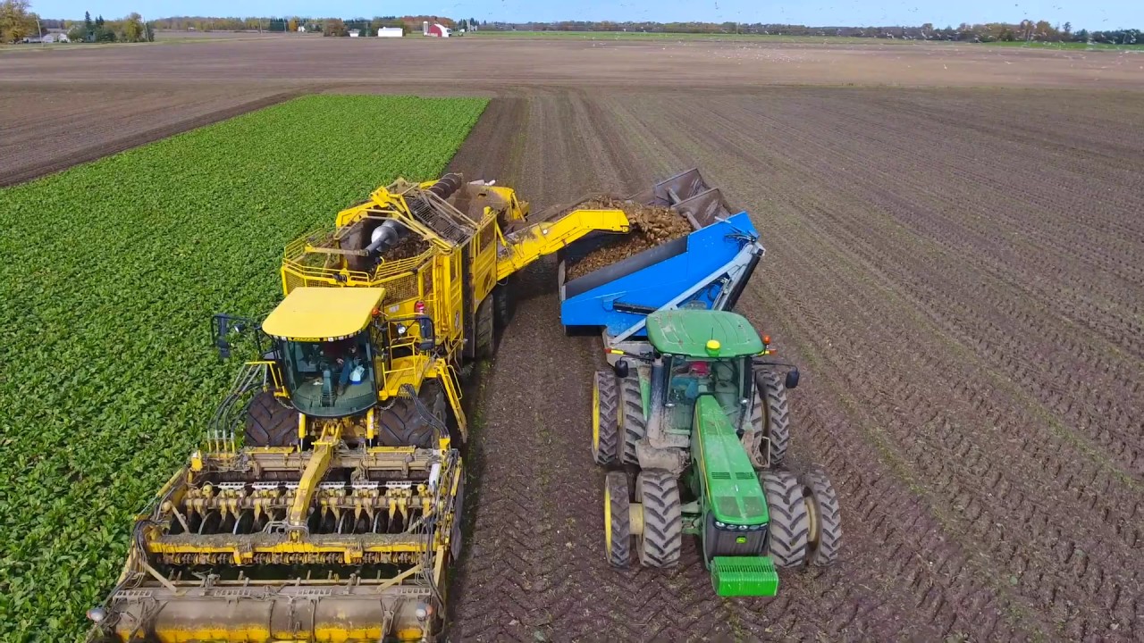 Crop Chaser Sugar Beet Dump Cart