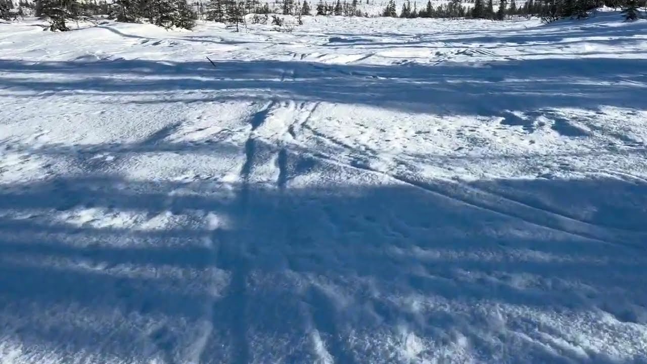 Stråsjøen 2-47 Vekta.Grieg