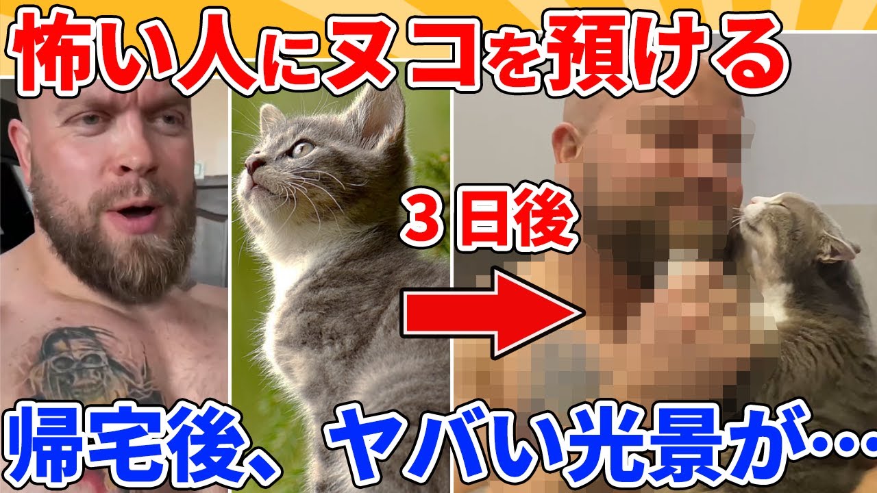 【2ch動物スレ】旅行中、怖い人にヌコを預けた結果→帰宅後にヤバすぎる光景がｗｗｗｗｗ