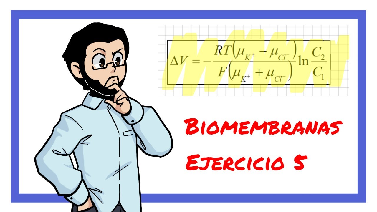 Biomembranas. Ejercicio 5
