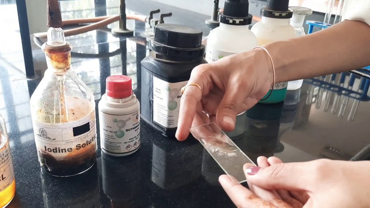 ANALYSIS OF TRAGACANTH BY CHEMICAL TEST