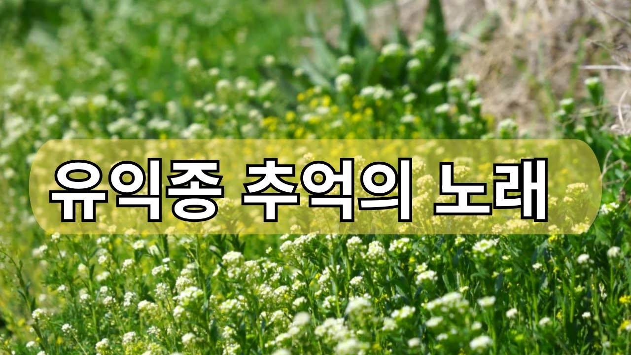 유익종 추억의 노래 