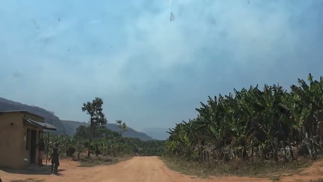 Mabhobho to Hauna Growth Point |#hondevalley