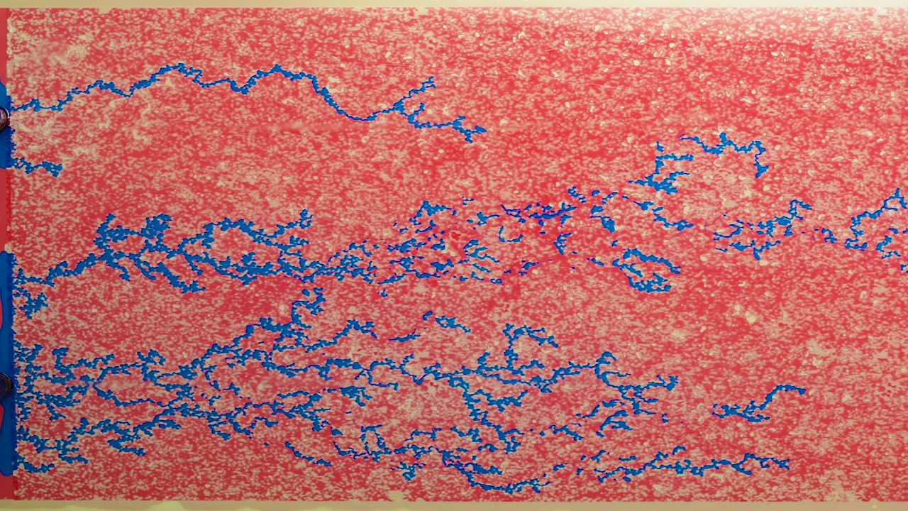 Visual Reservoir - Episode Two: Waterflooding