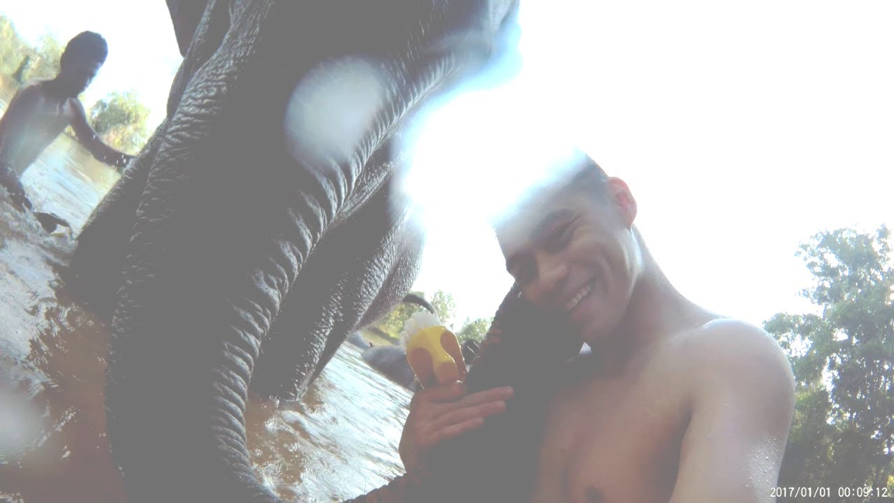 My first kiss from an Elephant